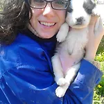 Farm stay Il Maresciallo *