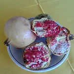 Farm stay Il Maresciallo *