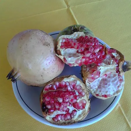 مزرعة للإقامة Il Maresciallo *