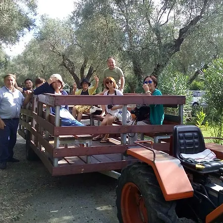 Il Maresciallo Farm stay